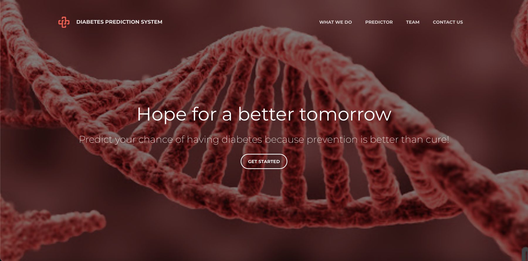 Landing page of the Diabetes Prediction System: Hope for a better tomorrow